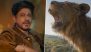 ‘Mufasa – the Lion King’: Shah Rukh Khan Compares His Journey With Mufasa’s Story in ‘The Lion King’ in New Promo, Says ‘Kaafi Milti Julti Hai Na Ye Kahani?’ (Watch Video)