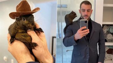 Did Peanut the Squirrel Owner Mark Longo Use Pet’s Death To Promote Porn? OnlyFans Creator Addresses Allegations After P’Nut the Squirrel’s Tragic Demise