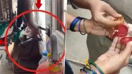 Theft Caught on Camera in Telangana: Privately Hired TSRTC Bus Driver Steals Gold Jewellery From Passenger’s Bag in Nizamabad, Fired After Video Went Viral