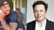 Internet Fame ‘Peanut the Squirrel’ Euthanised After Seizure by New York’s DEC, Elon Musk Reacts