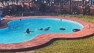 Mangaluru: 3 BTech Students Drown in Swimming Pool at Vazco Resort Near Ullal Beach in Karnataka, Probe Launched (Disturbing Video)