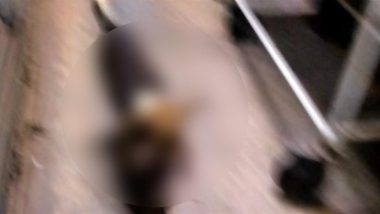 West Bengal Shocker: Stray Dog Allegedly Runs Off With Premature Baby After Woman Unexpectedly Gives Birth in Sonamukhi Hospital Toilet in Bankura, Disturbing Pic Surfaces