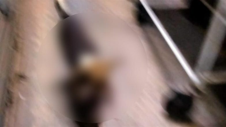 West Bengal Shocker: Stray Dog Allegedly Runs Off With Premature Baby After Woman Unexpectedly Gives Birth in Sonamukhi Hospital Toilet in Bankura, Disturbing Pic Surfaces