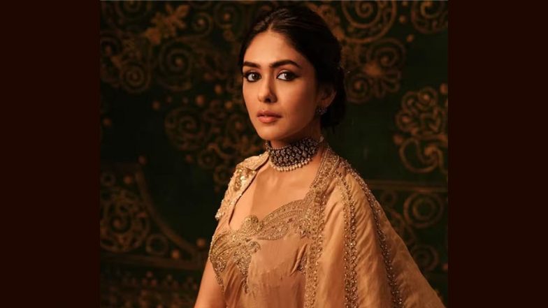 ‘Aap Log Bachhe Ki Jaan Loge Kya?’: Mrunal Thakur Schools Fan for Using Her Image in Diwali Edit (Watch Video)
