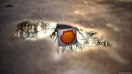 Shell Wins Appeal Against Order to Cut Emissions