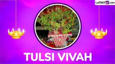 Tulsi Vivah 2024 Date and Auspicious Timings: Know Tulasi Vivah Puja Time, Dwadashi Tithi and Significance To Mark the Ceremonial Marriage of Tulsi and Lord Vishnu