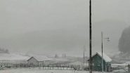 Gulmarg's First Snowfall of the Season Turns it into a Winter Wonderland; Tourists Flock for Skiing, Sledging (Watch Video)