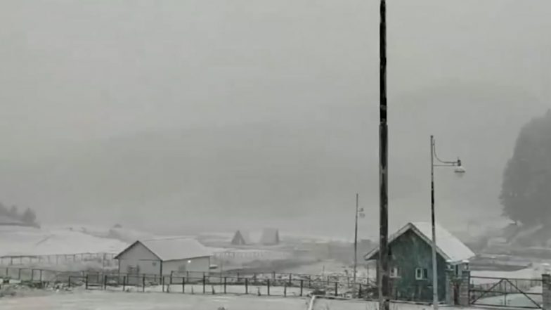 Gulmarg's First Snowfall of the Season Turns it into a Winter Wonderland; Tourists Flock for Skiing, Sledging (Watch Video)