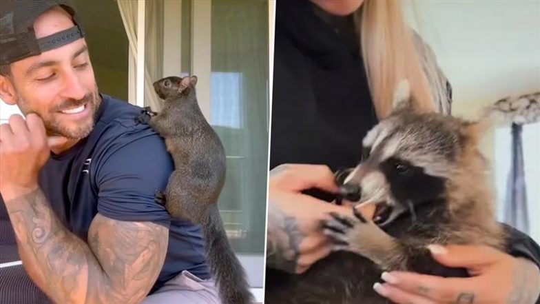 P’Nut the Squirrel and Fred the Raccoon Test Negative for Rabies After Being Euthanised by New York’s DEC