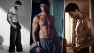 Bhool Bhulaiyaa 3 Star Kartik Aaryan's Shirtless Pics Will Make All the Girls Scream 'Hot Damn'!