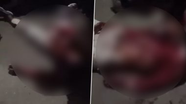 Delhi: 20-Year-Old Man Shot Dead by Friends During Dispute Over Cap in Gandhi Nagar, Probe Launced (Disturbing Video)