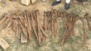 Ancient Weapons Unearthed in UP’s Shahjahanpur, Viral Video Shows Rusted Swords, Guns, Daggers and Spears Spread in the Farm Field