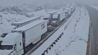 Winter Storm in New Mexico: Massive Snow Storm Leaves Miles of Traffic Stranded on Interstate 40 in US (Watch Video)