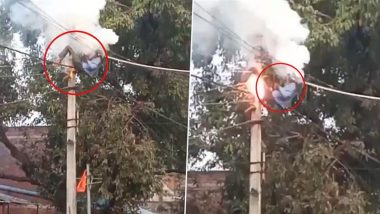 Kanpur: Lineman Falls from Pole After Sudden Electricity Surge While Making Repairs, Dies; Disturbing Video Surfaces