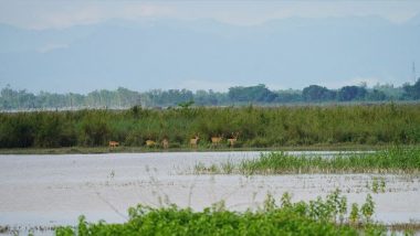 Business News | Bijnor Mahotsav: Celebrating a Ramsar Site & The Art of Living's Remarkable Role in Community-led Conservation