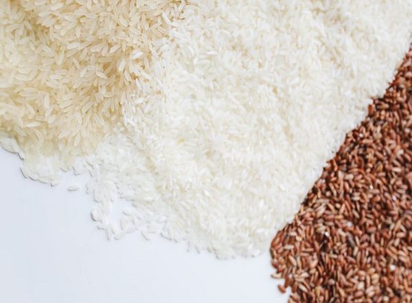 Business News | India Set to Harvest Record Kharif Crops, Estimates Agriculture Ministry