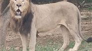 India News | Karnataka: Pilikula Biological Park Welcomes New Additions in Animal Exchange Program