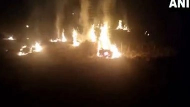 India News | CAQM Issues Revised Environmental Compensation Rates to Be Imposed for Stubble Burning