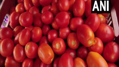 Business News | Tomato Prices Falls over 22% in a Month Due to Better Supply