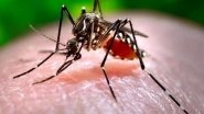World News | Pakistan Reports over 20,000 Dengue Cases, 10 Fatalities in 2024