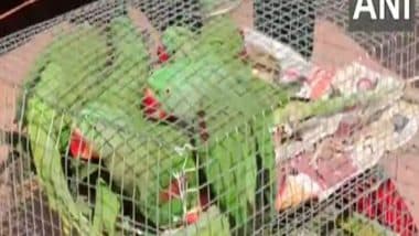 India News | J-K: Wildlife Smuggling Bid Foiled in Udhampur; 20 Parrots Rescued