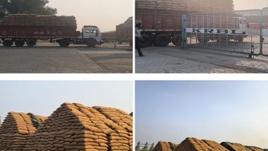 Business News | India Gate Aims Record Paddy Procurement This Season, Eyes Strong Basmati Exports