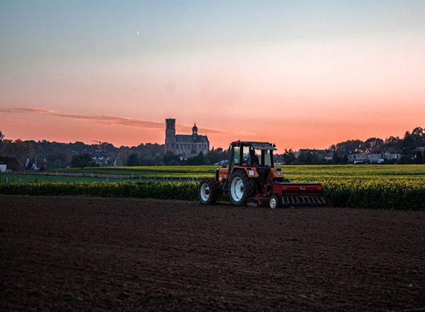 India News | Union Cabinet Launches 'National Mission on Natural Farming' Scheme for Farmer's Welfare