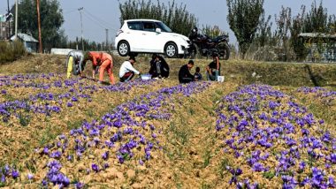 Business News | India Signs USD 98 Mn Loan Agreement with Asian Development Bank to Boost Horticulture Productivity