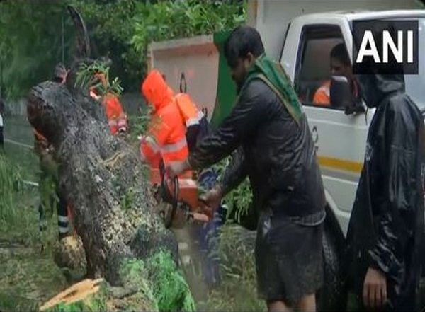 India News | Chennai Receives Widespread Rain Ahead of Cyclone Fengal's Landfall