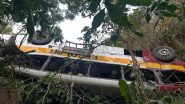 Brazil Bus Crash: 17 Passengers Killed, 20 Injured As Vehicle Falls Into Ravine in Alagoas (See Pics and Video)