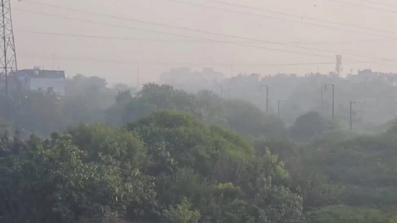 Delhi-NCR Air Pollution: Air Quality Continues To Dip in National Capital; Smog To Remain Till November 10 (Watch Video)