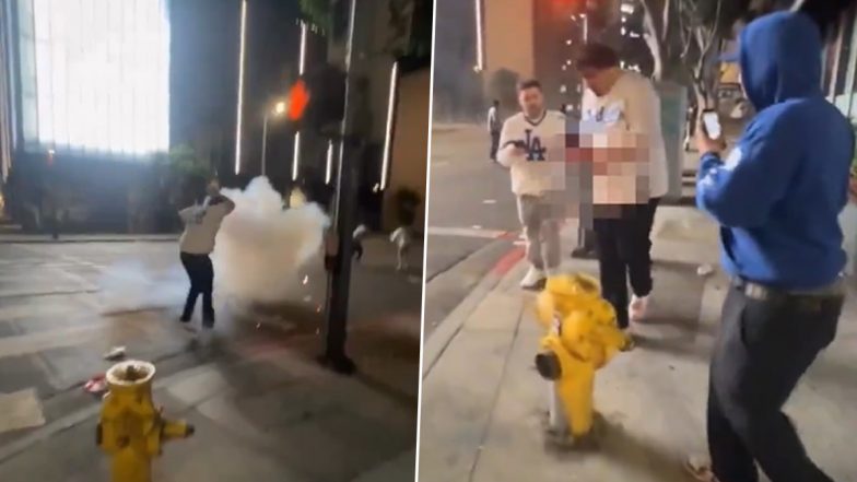 Dodgers Fan Accidentally Blows Off Part of His Hand With a Firework While Celebrating Dodgers' World Series Win Over Yankees in Los Angeles, Terrifying Video Goes Viral