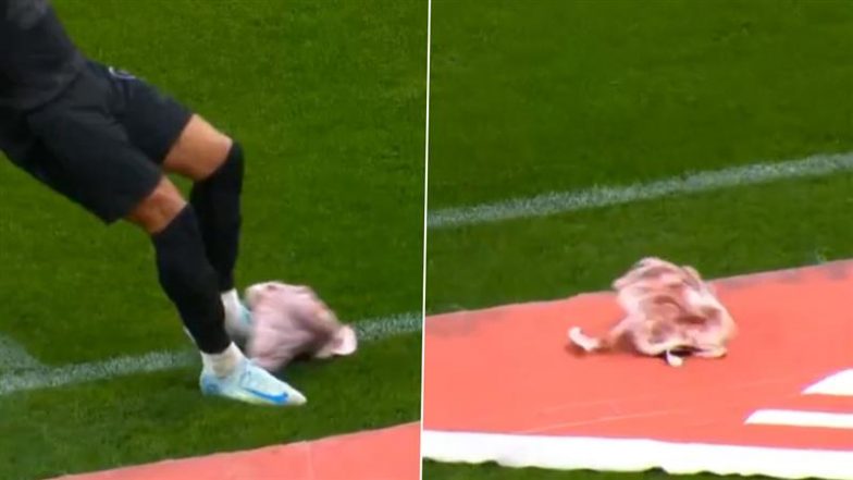 Brazilian Police Investigate Fans After Pig’s Head Thrown Onto Field During Corinthians vs Palmeiras Brazil Serie A 2024–25 Football Match