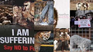 Sale of Fur Remains Permitted, Despite Fur Farming Is Banned in the UK