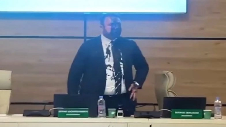 Tbilisi: Georgia Election Chief Doused in Paint As Protests Continue 