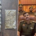 Ganja Cultivation in Greater Noida Flat Busted: Man Caught Cultivating Cannabis Plants at Home in Panorama Society, Would Sell Them on Dark Web (Watch Videos)