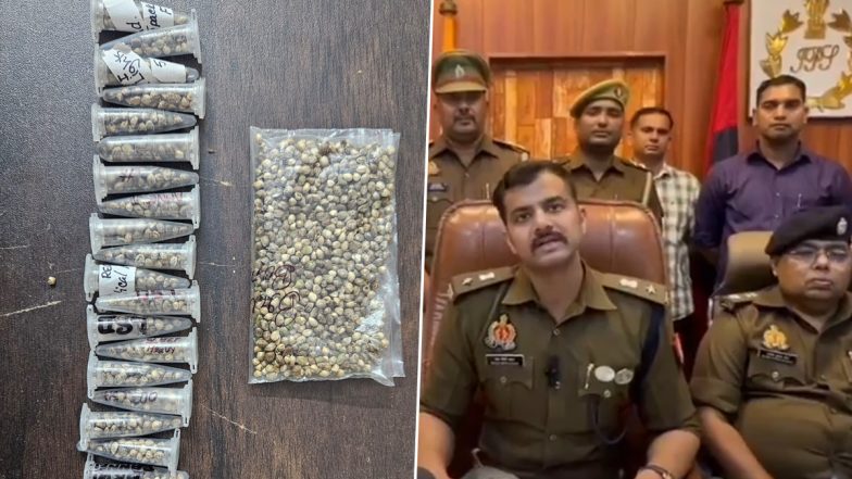 Ganja Cultivation in Greater Noida Flat Busted: Man Caught Cultivating Cannabis Plants at Home in Panorama Society, Would Sell Them on Dark Web (Watch Videos)