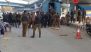 Srinagar Grenade Attack: 3 Terrorists, Who Hurled Bomb at Busy ‘Sunday Market’ in Jammu and Kashmir, Arrested