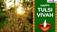 Tulsi Vivah 2024 Greetings and Images for Free Download Online: Wish Happy Tulsi Vivah With These HD Wallpapers and Messages To Mark the Sacred Union of Lord Vishnu and Tulsi Plant