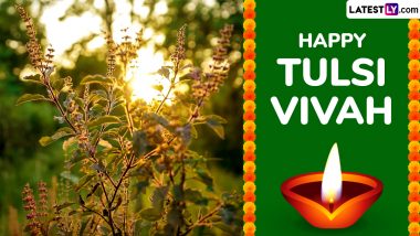 Happy Tulsi Vivah 2024 Wishes, Messages and Images To Share on November 13 