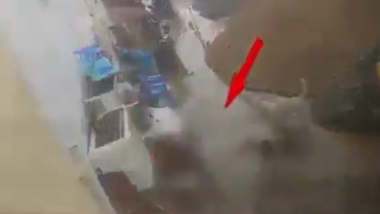 Hyderabad Dog Attack: Child Playing Outside His House Suffers Injuries After Pack of Stray Dogs Attack Him in Allapur, Disturbing Video Surfaces