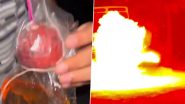 Karnataka: Student Bursts Petrol Bomb For Social Media Reel During Diwali Celebration in Hassan, Booked After Video Goes Viral