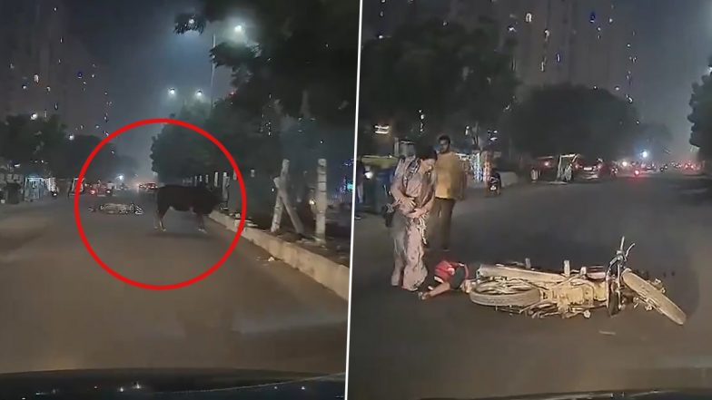 Greater Noida: Man Thrown Off Bike, Injured After Bull Crashes Into Vehicle, Video Goes Viral