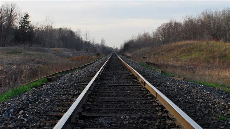 Train Derailment Attempt in Uttar Pradesh? 25-Foot Iron Rod Recovered From Pilibhit-Bareilly Railway Track; Probe Launched (Watch Video)