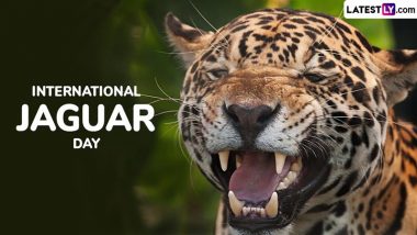 When Is International Jaguar Day 2024? Date and Significance Explained 