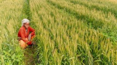 India’s Kharif Foodgrain Output Projected at Record 1,647 Lakh Tonnes for 2024–25