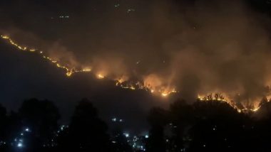 Kullu Fire: Blaze Erupts in Forest of Bada Bhuin Panchayat of Himachal Pradesh (Watch Video)