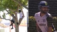 Fans Climb Trees to Watch Virat Kohli's Special Net Session Ahead of BGT 2024-25 India vs Australia 1st Test in Perth (Watch Video)