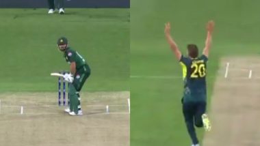 Aaron Hardie Brings Out Celebrappeal After Trapping Pakistan Stand-in Captain Salman Ali Agha LBW During AUS vs PAK 3rd T20I 2024 (Watch Video)