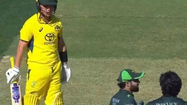 AUS vs PAK 2nd ODI 2024: Mohammad Rizwan Consults Adam Zampa Before Taking DRS Against Him